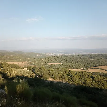 D'hotes L'amphitryon 5 Villemus