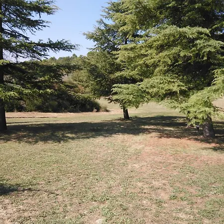 D'hotes L'amphitryon 5 Bed & Breakfast